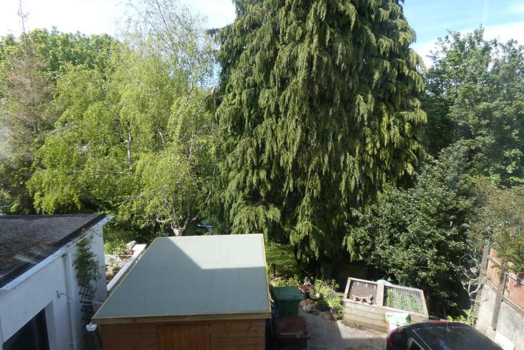 Ferney Croft Apartman Saint Erth Kültér fotó